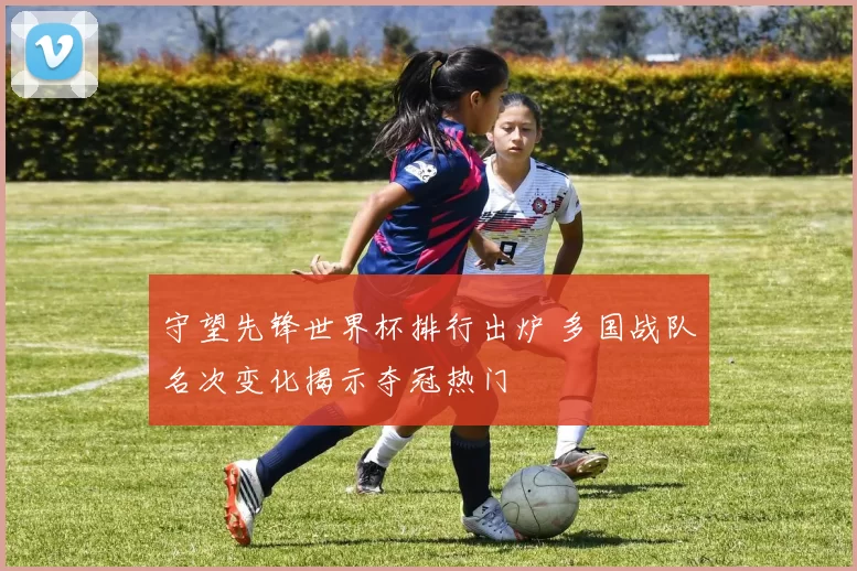 守望先锋世界杯排行出炉 多国战队名次变化揭示夺冠热门
