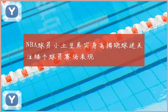 NBA球员小土豆真实身高揭晓球迷关注矮个球员赛场表现